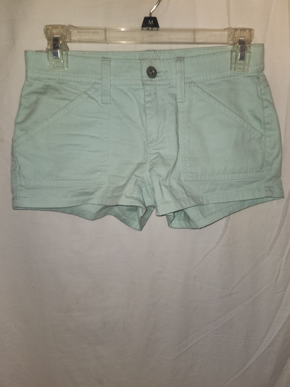Wallflower Mint Casual Cotton Shorts